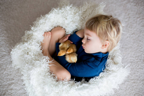 Cute blond toddler boy, sleeping with newborn chicks, hugging them tenderly - Foto, Bild