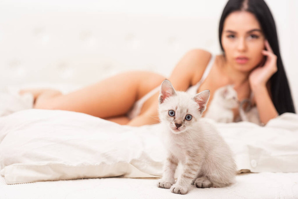 Sexy model play adorable kitten selective focus. Play with kitty. Gorgeous attractive girl relax with cute kittens. Playing with cat in bed. Cat and lady. Playful pet. Woman perfect body and cat - Valokuva, kuva