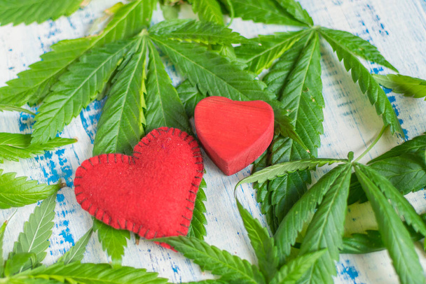 Love and marijuana. Red heart against the background of marijuana leaves. - Φωτογραφία, εικόνα