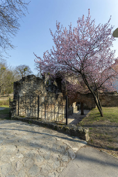 Sztuczne ruiny w angielskim ogrodzie Tata, Węgry. - Zdjęcie, obraz