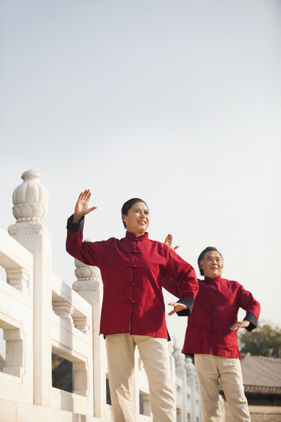 dva senioři cvičení taijiquan v Pekingu - Fotografie, Obrázek