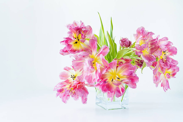 Pohled na skleněnou obdélníkovou vázu s kyticí růžových tulipánů na bílém pozadí. Koncepce pozadí, květiny, dovolená - Fotografie, Obrázek
