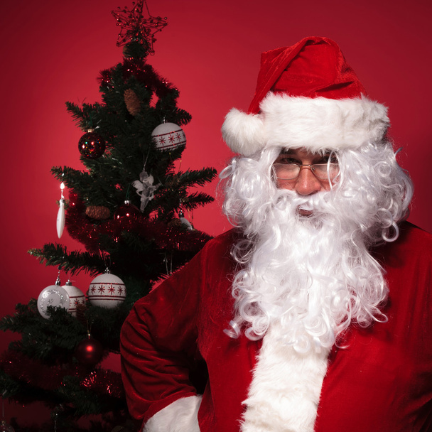 Papai Noel está de pé na frente de uma árvore de natal
 - Foto, Imagem