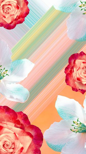 Nowoczesny kolaż. Widok kwiatów jabłka i róż na kolorowe tło w pastelowych kolorach. Koncepcja tła, kwiaty, wakacje, abstrakcja - Zdjęcie, obraz