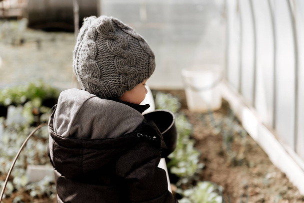 Маленький мальчик выращивает и поливает овощные саженцы в теплице, раннем экологическом урожае.
 - Фото, изображение