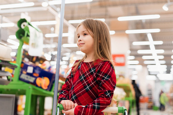 Sales and shopping. Little cute girl with shopping cart standing in grocery department of food store or supermarket. Asian kid Shopping in supermarket. - Фото, зображення