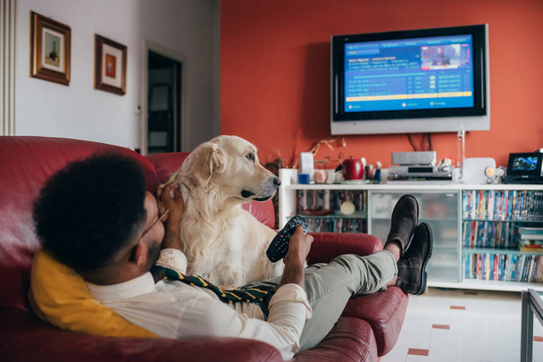 Jeune bel homme noir assis canapé intérieur à la maison avec chien regarder la télévision - confortable, divertissement, concept de relaxation
 - Photo, image
