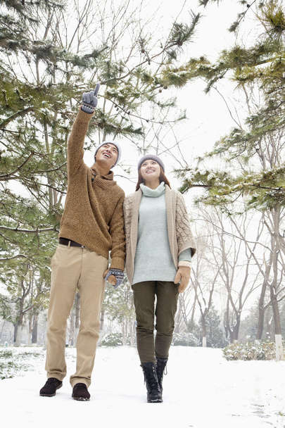 Passeggiate di coppia in un parco in inverno
 - Foto, immagini