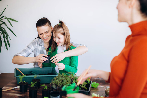 母親は娘たちと一緒に屋内の苗をテーブルに植える時間を過ごす。笑顔の女の子と小さな芽と庭のツールの手 - 写真・画像