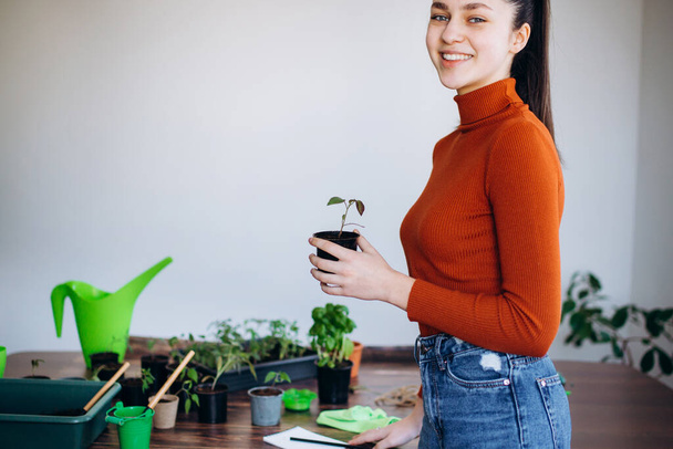 Zamknij widok sadzenia sadzonek w pomieszczeniach, trzymając narzędzia ogrodowe. Dziewczyna w pomarańczowym swetrze pracuje z małymi kiełkami - Zdjęcie, obraz