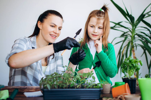 Mother with small daughter planting seedlings indoor. - Photo, Image