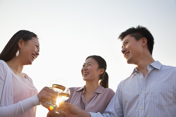 Group of Friends Toasting Each Other on Rooftop at Sunset - Photo, Image