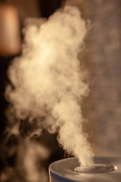 Humidifier spreading steam into the living room. Vertical photo - Zdjęcie, obraz
