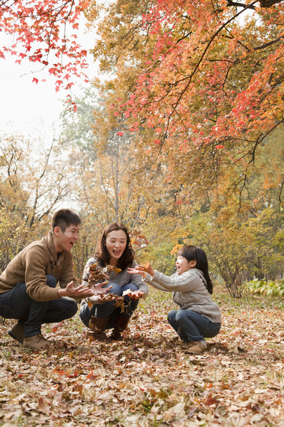 Сім'я в парку восени
 - Фото, зображення