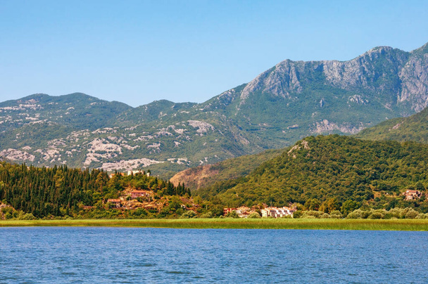 Costa del lago, bellissimo paesaggio estivo. Vista del Parco Nazionale Lago di Skadar nella giornata di sole vicino alla città di Virpazar. Montenegro
 - Foto, immagini