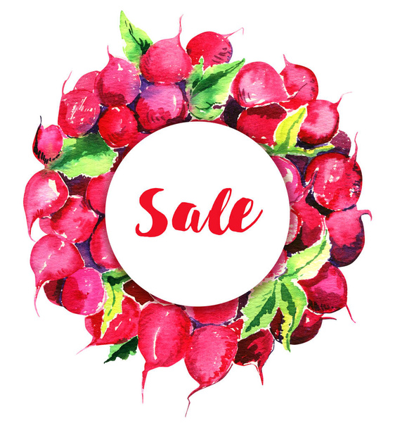 radish wreath sale ecological clean farm product place text discount watercolor isolated - Fotoğraf, Görsel