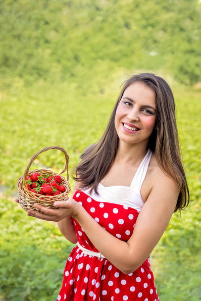 Young woman picks strawberries on a strawberry field - Valokuva, kuva
