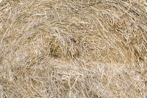 hay background and texture village close up - Foto, Imagen