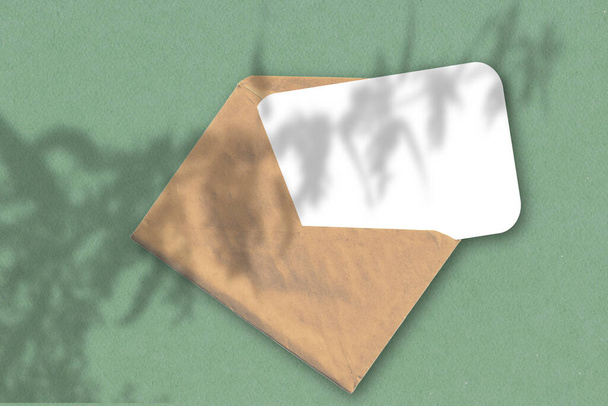 An envelope with a sheet of white textured paper on the green wall background. Mockup with an overlay of plant shadows. Natural light casts shadows from wildflowers and leaves plants. - Photo, Image