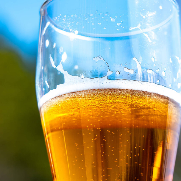 Birra leggera in un bicchiere di vino di vetro su un picnic sulla natura. Schiuma di birra sulle pareti di un bicchiere Alla luce del sole - Foto, immagini