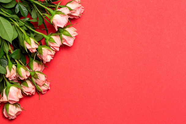 Rosa Rosen auf rotem Hintergrund, Muttertagshintergrund, Kopierraum, Draufsicht, Muttertag, 8. März - Foto, Bild