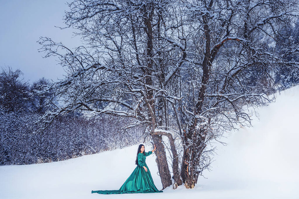 A girl in  fabulous long green dress in the snow-covered mountains. A woman in a fairy-tale dress in the mountains in winter. Winter fairytale photo session of a beautiful girl in Sairam su Kazakhstan - Fotó, kép