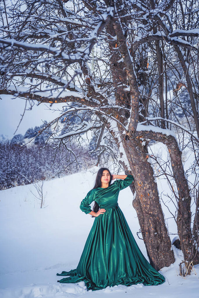 Ein Mädchen in sagenhaft langem grünen Kleid in den schneebedeckten Bergen. Eine Frau im Märchenkleid im Winter in den Bergen. Wintermärchen-Fotosession eines schönen Mädchens in Sairam su Kasachstan - Foto, Bild