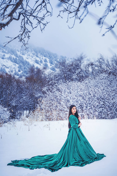 Karla kaplı dağlarda muhteşem, uzun yeşil elbiseli bir kız. Kışın dağlarda peri masalı elbisesi giymiş bir kadın. Sairam Su Kazakistan 'daki güzel bir kızın kış masalı fotoğraf çekimi. - Fotoğraf, Görsel