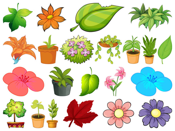 Large set of different plants on white background illustration - Vector, Image