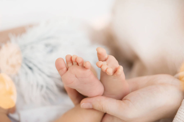 Mother's hands holding tiny feet of little baby, closeup - 写真・画像