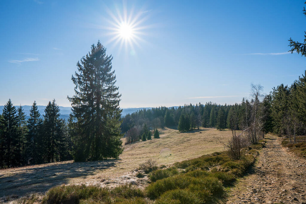 meadow on ridge with trees and sun over ridge - Fotó, kép