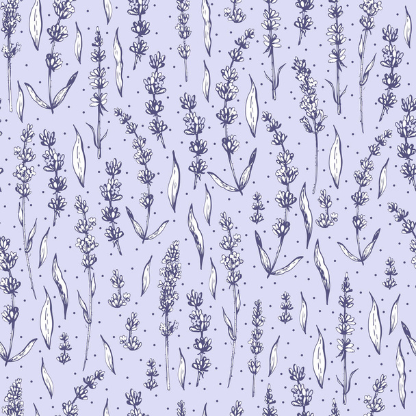 Graphic decorative pattern with lavender  - Vector, Image