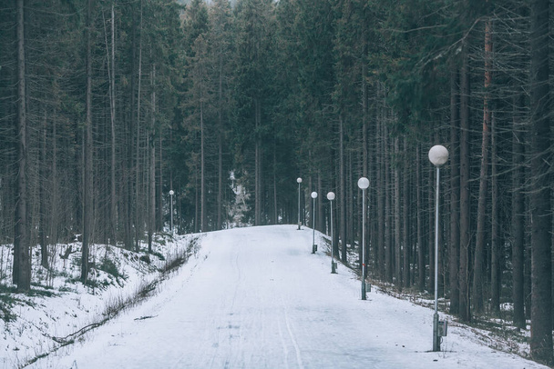 The road in the winter forest. Snowy road between trees - Foto, afbeelding