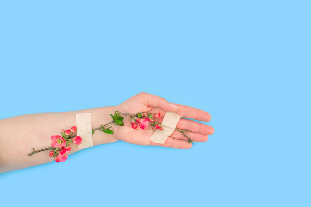 Spring beauty pink flowers with adhesive patch on the hand, blue background. Concept of the end of the disease. - Photo, Image