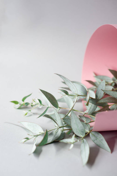 Fresh eucalyptus branches in pink paper roll on a gray background, soft light, minimalistic concept. - Fotó, kép