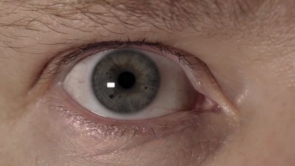 Emberi szem közelkép lövés. Fehér férfi pislogás zöld szemek - Felvétel, videó