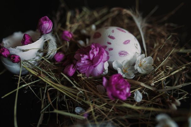 Beautiful decorated eggs  with spring flowers close-up view  - Photo, Image