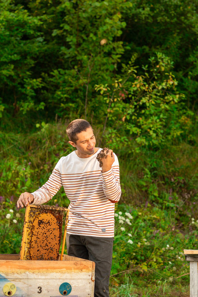 Onnellinen mehiläishoitaja viettää aikaa mehiläistarhassa. Hänellä on hunajakenno täynnä mehiläisiä. Yksi käsi on mehiläisissä. Vihreä tausta - Valokuva, kuva