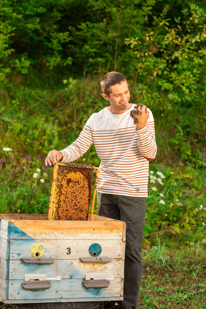 Feliz apicultor pasa tiempo en apiario. Él sostiene un cangrejo lleno de abejas. Una mano está en las abejas. Entorno verde - Foto, imagen