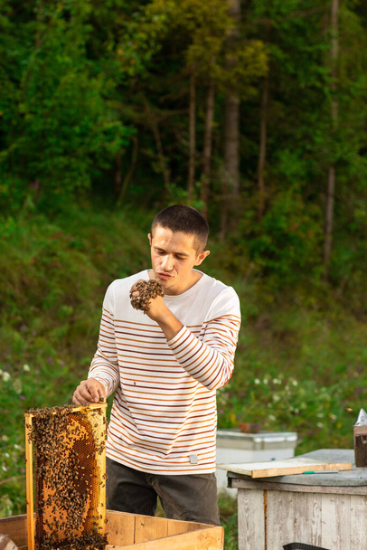 Ο ευτυχισμένος μελισσοκόμος περνάει χρόνο στο μελισσοκομείο. Κρατάει μια κηρήθρα γεμάτη μέλισσες. Το ένα χέρι είναι όλα στις μέλισσες. Πράσινο φόντο - Φωτογραφία, εικόνα