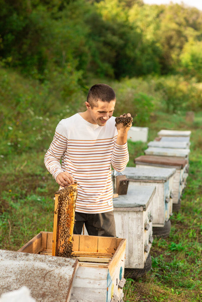 Пасечник, держащий медовую гребенку, полную пчел. Человек улыбается и мягко опускает руку с пчелами на лице. - Фото, изображение