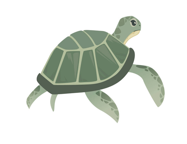 Große grüne Meeresschildkröte Karikatur niedlich Tier Design Ozeanschildkröte Schwimmen im Wasser flache Vektor Illustration isoliert auf weißem Hintergrund. - Vektor, Bild