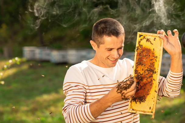 養蜂家は蜂でいっぱいのハニカムを持っています。男は蜂の巣をチェックし手で蜂を集める. - 写真・画像