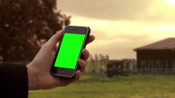 Männliche Hand mit einem alten Smartphone in einer ländlichen Landschaft. Sie können den grünen Bildschirm durch das gewünschte Filmmaterial oder Bild ersetzen. Sie können dies mit dem Keying-Effekt in After Effects oder jeder anderen Videobearbeitungssoftware tun (siehe Tutorials auf YouTube).).  - Filmmaterial, Video