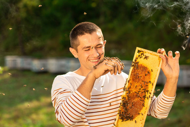 Pszczelarz trzymający plaster miodu pełen pszczół. Mężczyzna uśmiechający się i delikatnie odpoczywający z pszczołami na twarzy.. - Zdjęcie, obraz
