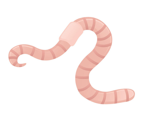 Earthworm σέρνεται σκουλήκι σχεδιασμό επίπεδη διανυσματική απεικόνιση απομονωμένη σε λευκό φόντο. - Διάνυσμα, εικόνα