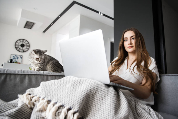 若い女の子は猫を持つコンピュータで自宅で働いています - 写真・画像