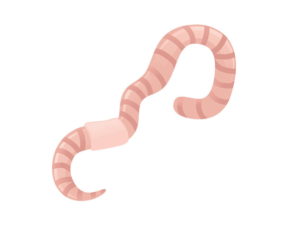 Earthworm strisciante disegno del verme del fumetto piatto illustrazione vettoriale isolato su sfondo bianco
. - Vettoriali, immagini
