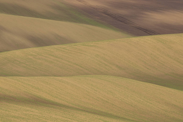 Kaunis liikkuva maisema Moravian Toscanan lähellä Mistrin Tsekin tasavallassa. Voit nähdä pellot ja niityt, joilla vilja alkaa vihreä
. - Valokuva, kuva