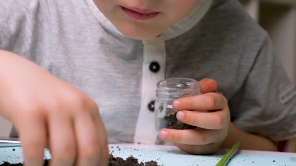 Quarantine. Education at home. Boy with magnifying glass. Interesting education. Natural Sciences background. Young scientist with dandruff. Exploring the world concept. Learning concept - Footage, Video